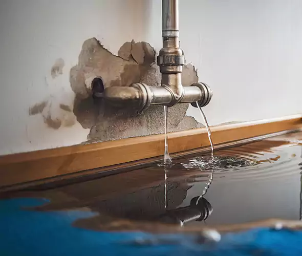Professional Water Damage Restoration Experts in Sebastian, FL — Fast, Reliable & Certified