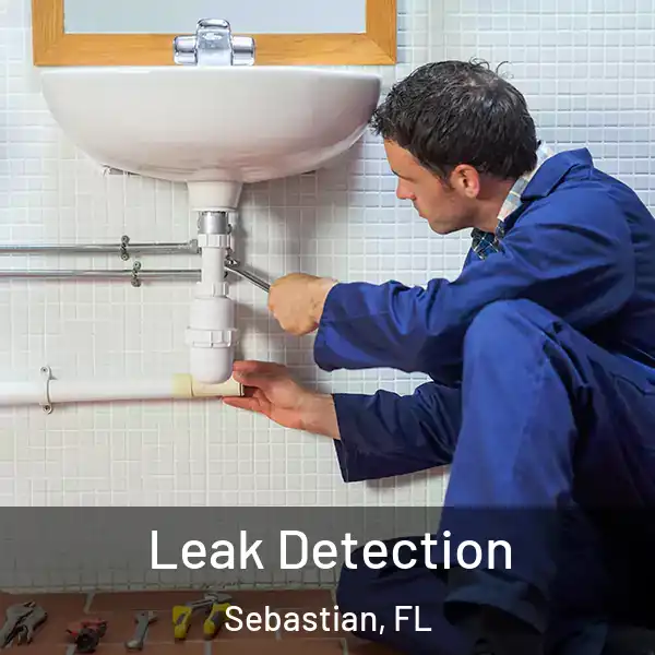  Leak Detection Sebastian, FL