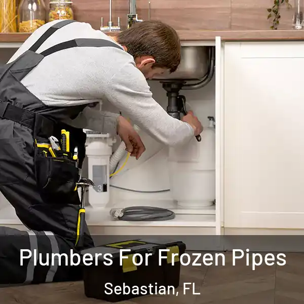  Plumbers For Frozen Pipes Sebastian, FL
