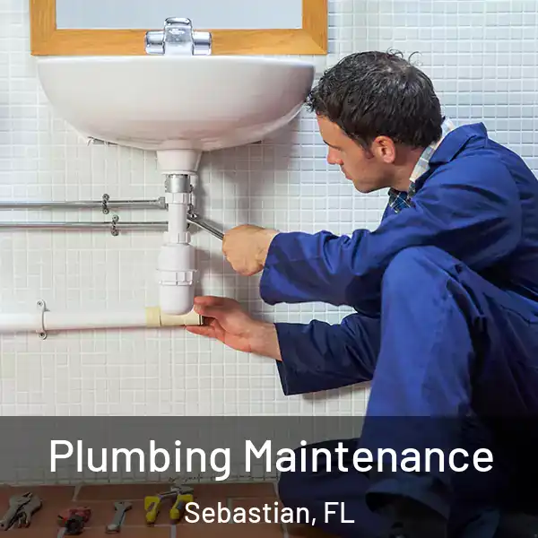  Plumbing Maintenance Sebastian, FL