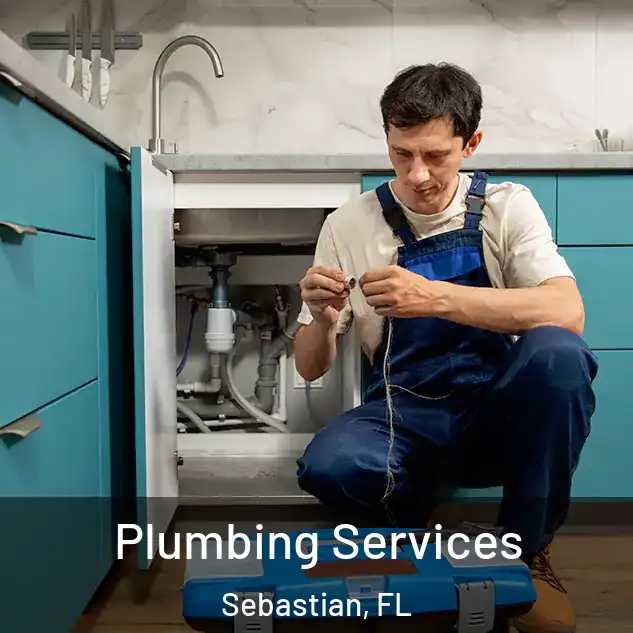 Plumbing Services Sebastian, FL
