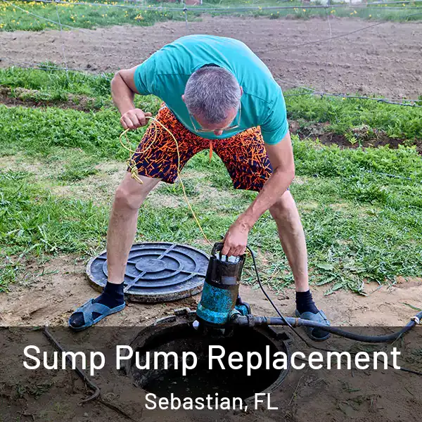  Sump Pump Replacement Sebastian, FL