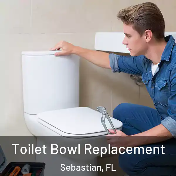  Toilet Bowl Replacement Sebastian, FL