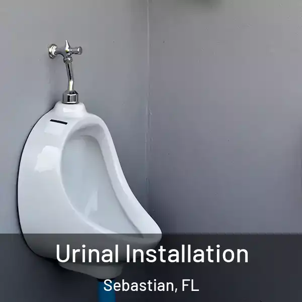  Urinal Installation Sebastian, FL