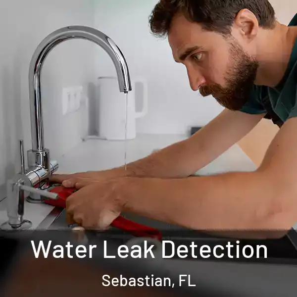  Water Leak Detection Sebastian, FL